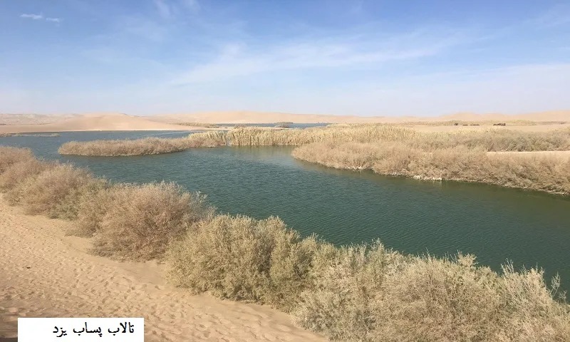 تالاب پساب در استان یزد